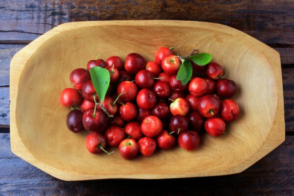 Barbados Cherry Tree - Image 4