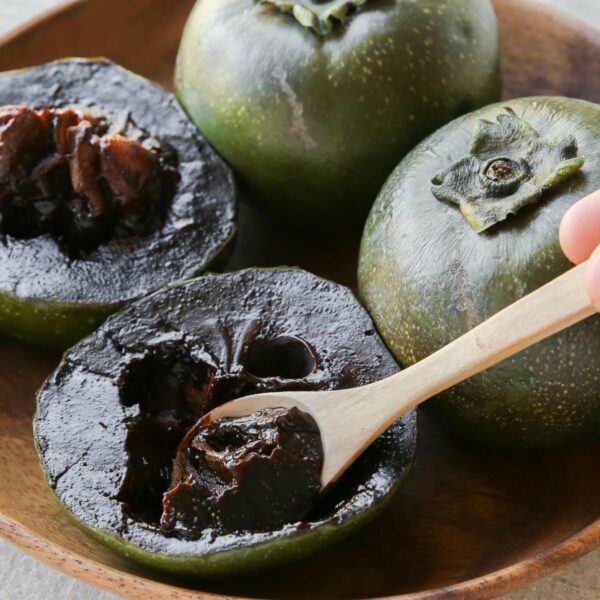 Matt Snow Black Sapote Tree - Image 4
