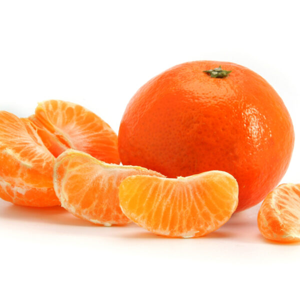 Brown Select Satsuma Tree - Image 4
