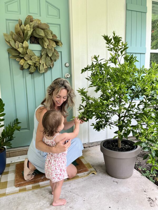 EverPot™ Tree Dwarfing Kit - Large - Image 3