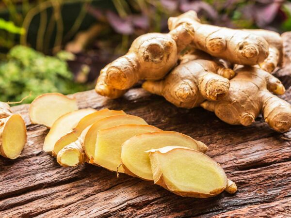 Edible Ginger Root Plant