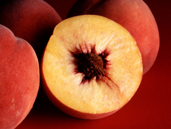 Flordagold Peach Tree - Image 4