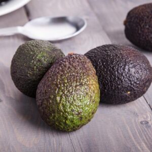 Joey Avocado Tree
