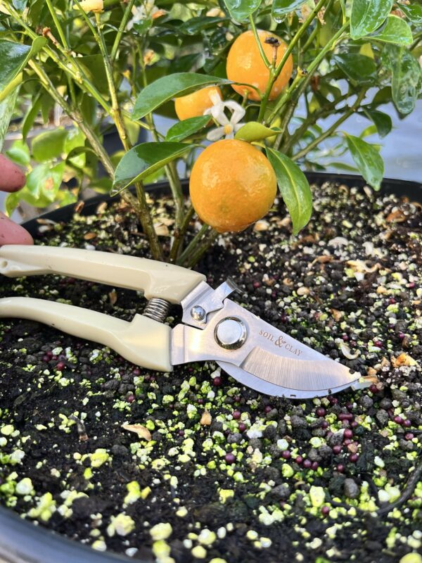 Pruning Shears - Image 3