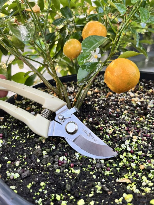 Pruning Shears - Image 4