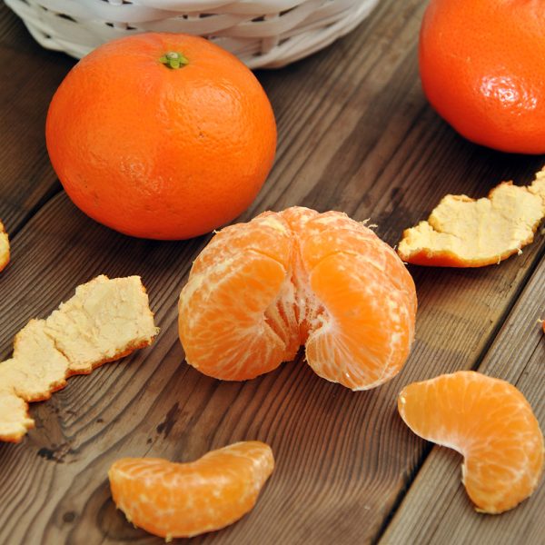 sunburst tangerine tree on sale on yarden