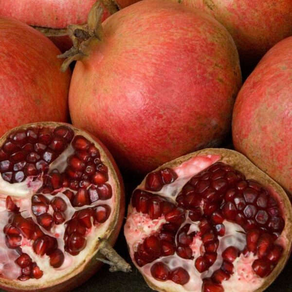 Wonderful Pomegranate Tree - Image 3